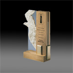 Soaring Eagle Award