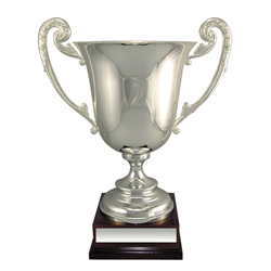 Champion Silver Loving Cup Award