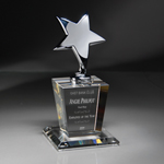 Optic Crystal Silver Star Trophy