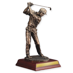 Backswing Bronze Male Golf Award