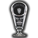 Triumph Crystal Cup Award