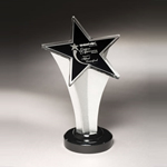 Acrylic Rising Star Award