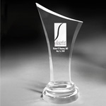 Optic Crystal Number One Award