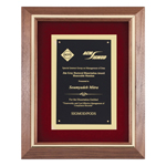Corporate Award Frame - Gold Inlay