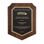 Corporate Award Shield Plaque