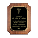 Appreciation Plaque - Black Brass Plate