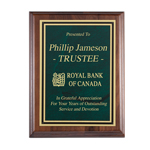 Corporate Plaque - Green Plate