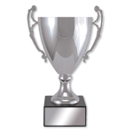 Bright Silver Loving Cup Award