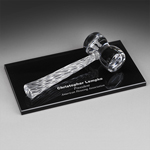 Crystal Gavel Award