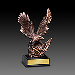 Bronze Eagle Award