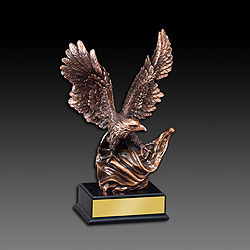 Bronze Eagle Award