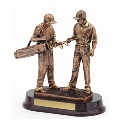 Bronze Caddie Award