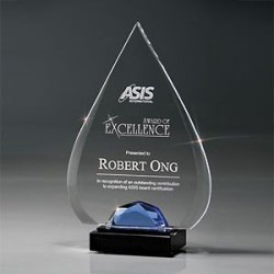 Acrylic Tear Drop Award